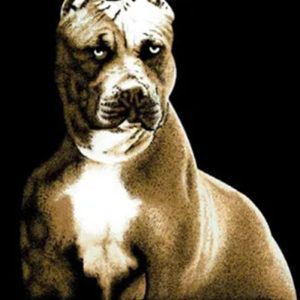 El Toro Brand One Ply Raschel Printed Blanket- Queen - (1501-015)