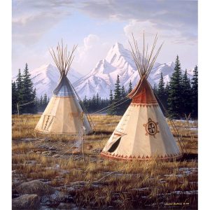 1 Ply Cloud Soft Blanket -Queen (1704-7411)