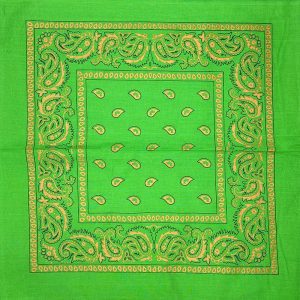 Bandana Gold Drawing - Light Green