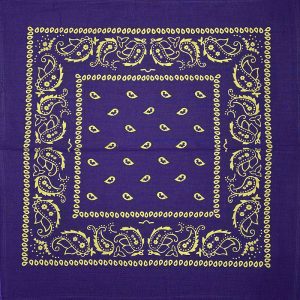 Bandana Gold Drawing - Purple
