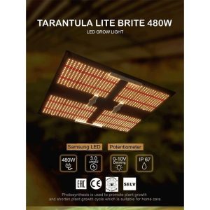 Tarantula Lite Brite - LED Board - 480W