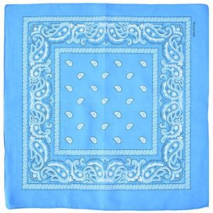 A-5 - Paisley Bandana - Turquoise