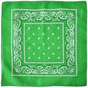 A-6 - Paisley Bandana - Light Green