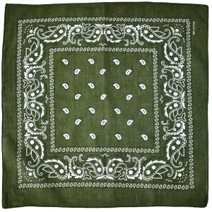 A-7 - Paisley Bandana - Green