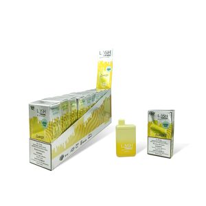 Lush Vape 4000 Puffs Rechargeable Disposable Vape Device -  Energy - 20mg/ml (SKK551)