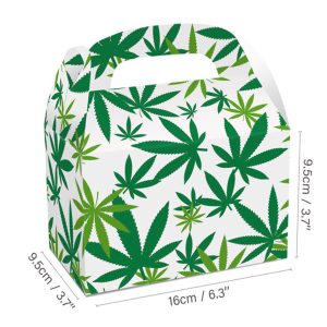 Mr Johnny Green Paper Gift Box - (M050)