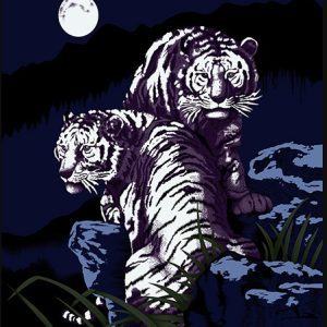 EL TORO White Tigers, 1-Ply Queen Size Blanket - (1501-3393)