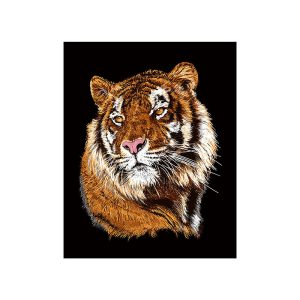 EI Toro - G529 Tiger - Blanket Queen Size - (1501-G529)