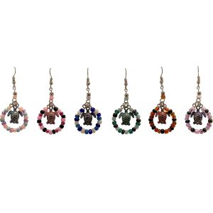 Acrylic Colored Rings Earring (CH-BD-EAR)
