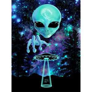 Visitor #7558, Queen Size Signature Blanket